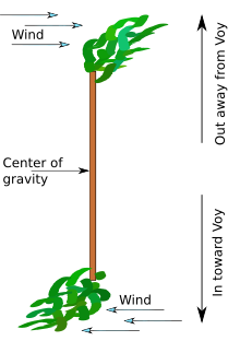 Illustration of an integral tree (not to scale) Integral-tree.svg