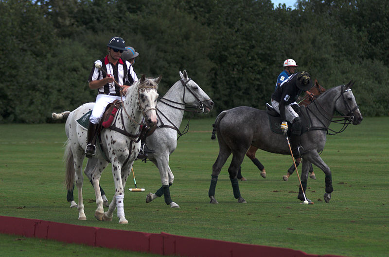 File:Jaeger-LeCoultre Polo Masters 2013 - 25082013 - Match Legacy vs Veytay-Jaeger-Lecoultre 21.jpg