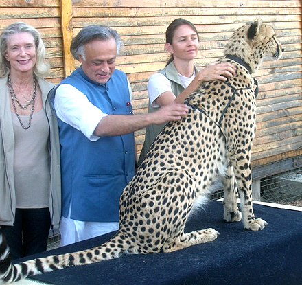 Jairam Ramesh at the Cheetah Outreach Centre near Cape Town in 2010, during his visit to discuss cheetah translocation from South Africa to India