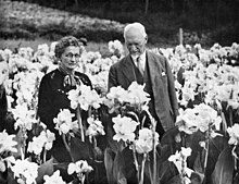 A couple standing in a field of flowers