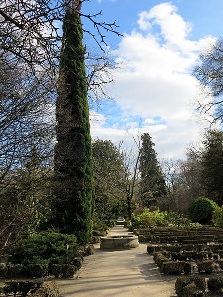 File:Jardín Botánico de Madrid en febrero (16655719282).jpg