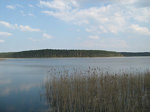 Jezioro Orzysz.jpg