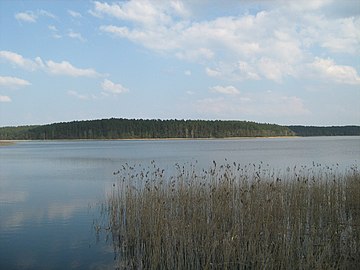 File:Jezioro_Orzysz.jpg