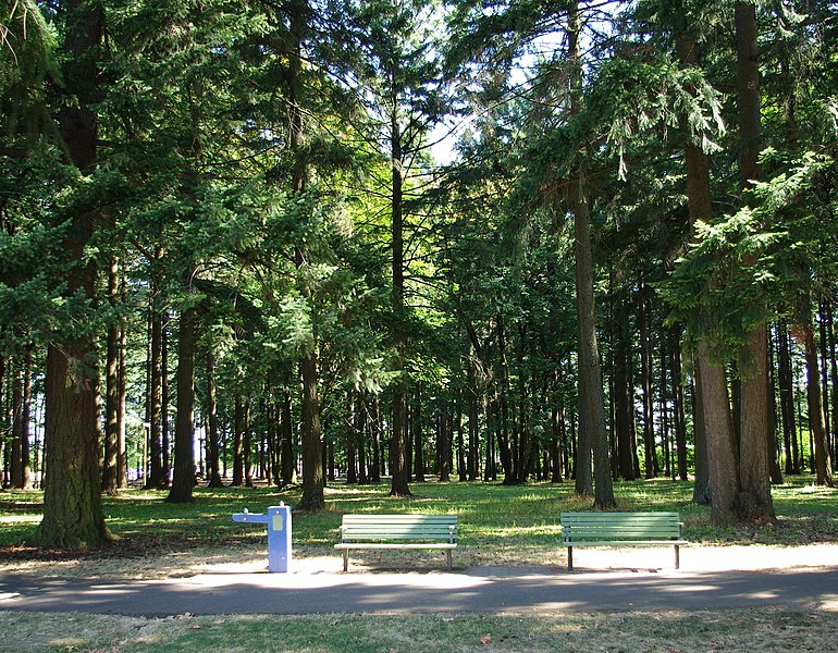 File:John Luby Park benches - Portland, Oregon.JPG