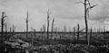 Lato w Argonny podczas I wojny światowej (1917)
