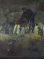 Penguin Parade