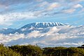 * Nomination Mount Kilimanjaro, Tanzania --Poco a poco 07:14, 7 August 2024 (UTC) * Promotion  Support Good quality. --Sebring12Hrs 08:42, 7 August 2024 (UTC)