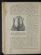 Kobieta lekarka domowa 1912 (16986066).jpg