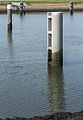 Meerpalen voor de brug in de afsluitdijk.