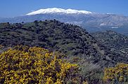 Blick von Phaistos auf das Ida-Gebirge