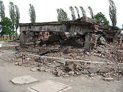 Auschwitz-Birkenau: Plan, Beginfase, Uitbouw