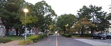 稲田通り
