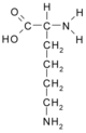 Acide aminé essentiel