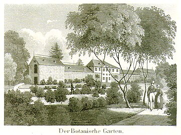 Der Botanische Garten mit dem ursprünglichen Gewächshaus-Komplex, Aquatinta-Radierung, um 1830