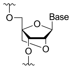 Chemical structure of an LNA monomer an additional bridge bonds the 2' oxygen and the 4' carbon of the pentose LNASchem.svg