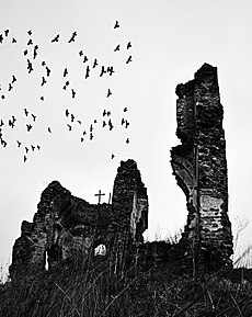 La Ruine - Bociulesti - Vedere laterala.jpg