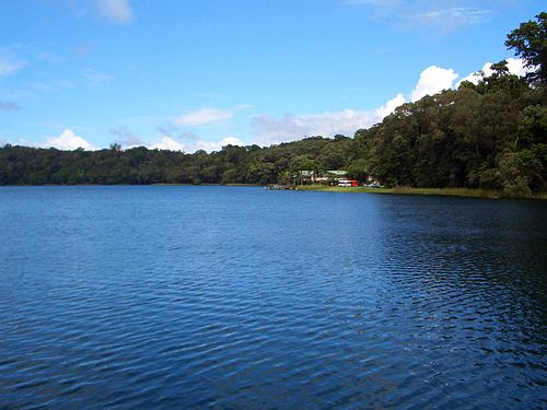 Lake Barrine things to do in Millaa Millaa