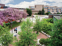 Campus estivo dell'università di Lakehead