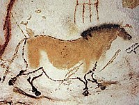 Изображение лошади на стене пещеры Ласко.