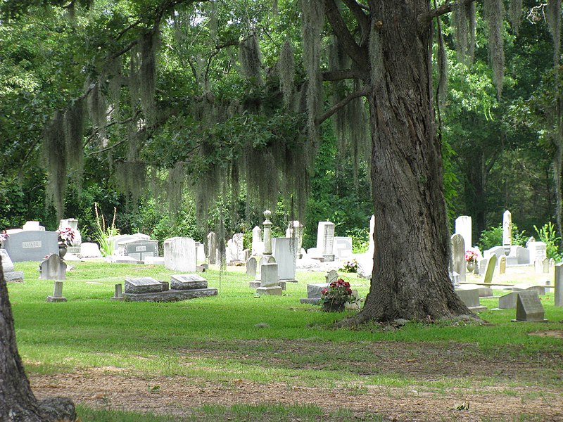 File:Lebanon Presbyterian Church Cemetery (2590850375).jpg