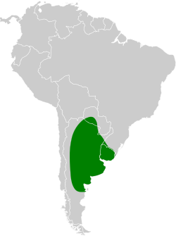 Distribución geográfica del coludito copetón.