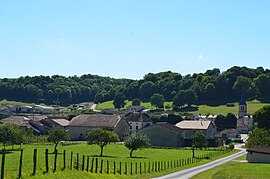 Pandangan umum Leschères-sur-le-Blaiseron