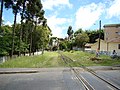 Linha do trem atravessa o final da Nicarágua - Curitiba - panoramio.jpg