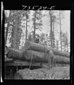 Loading logs on flatcar1942.jpg