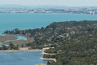 <span class="mw-page-title-main">Parau</span> Coastal settlement in West Auckland, New Zealand