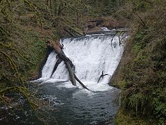 Lower North Falls in Silver Falls State Park