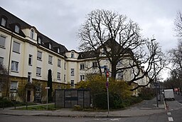 Leuschnerstraße in Ludwigshafen am Rhein