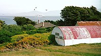 Forest on Carcass Island MS Columbus Caravelle calling Carcass Island, Falkland Islands.jpg