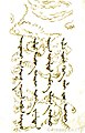 El poema de Injinash, escrit amb pinzell, segle XIX