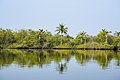 * Nomination Mangroves and coconut palms on Munroe Island shore of Ashtamudi Lake, Kerala --Tagooty 06:27, 3 April 2022 (UTC) * Promotion  Support Good quality. --XRay 07:17, 3 April 2022 (UTC)