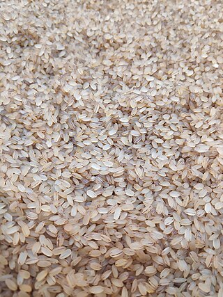 <span class="mw-page-title-main">Matta rice</span> Indigenous variety of rice grown in Palakkad district of Kerala, India