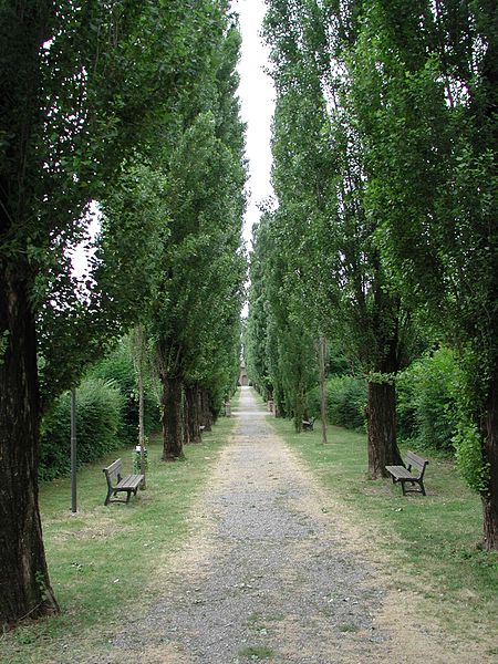 File:Mauriziano viale accesso reggio emilia.jpg