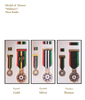 Medal of Honor of the Military Medals of the State of Palestine.png