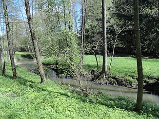 Menach near Haselbach