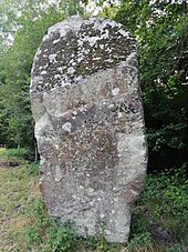 Menhir de la Roche Gorron 07.jpg