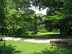 Ботанически парк Мерион - Мерион, Пенсилвания.jpg