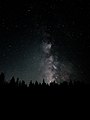 Milky Way Forest Horizon.jpg