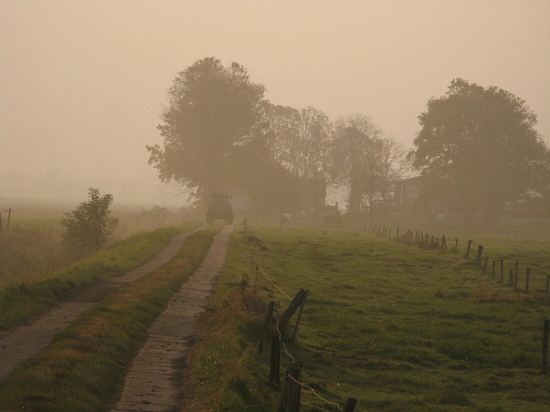 File:Moordorf moortraktor.JPG