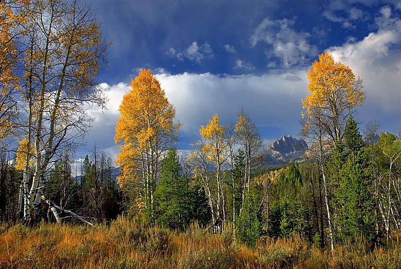 File:Mount Heyburn Autumn.jpg