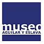 Miniatura para Museo Aguilar y Eslava