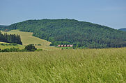 Čeština: Národní přírodní rezervace Špraněk, okres Olomouc