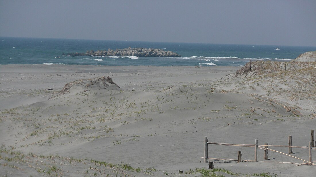 南区 (浜松市)