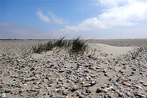 40. Platz: Lotte76 mit Nationalpark Niedersächsisches Wattenmeer - Norderney