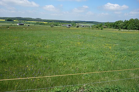 Naturschutzgebiet Brüche 3