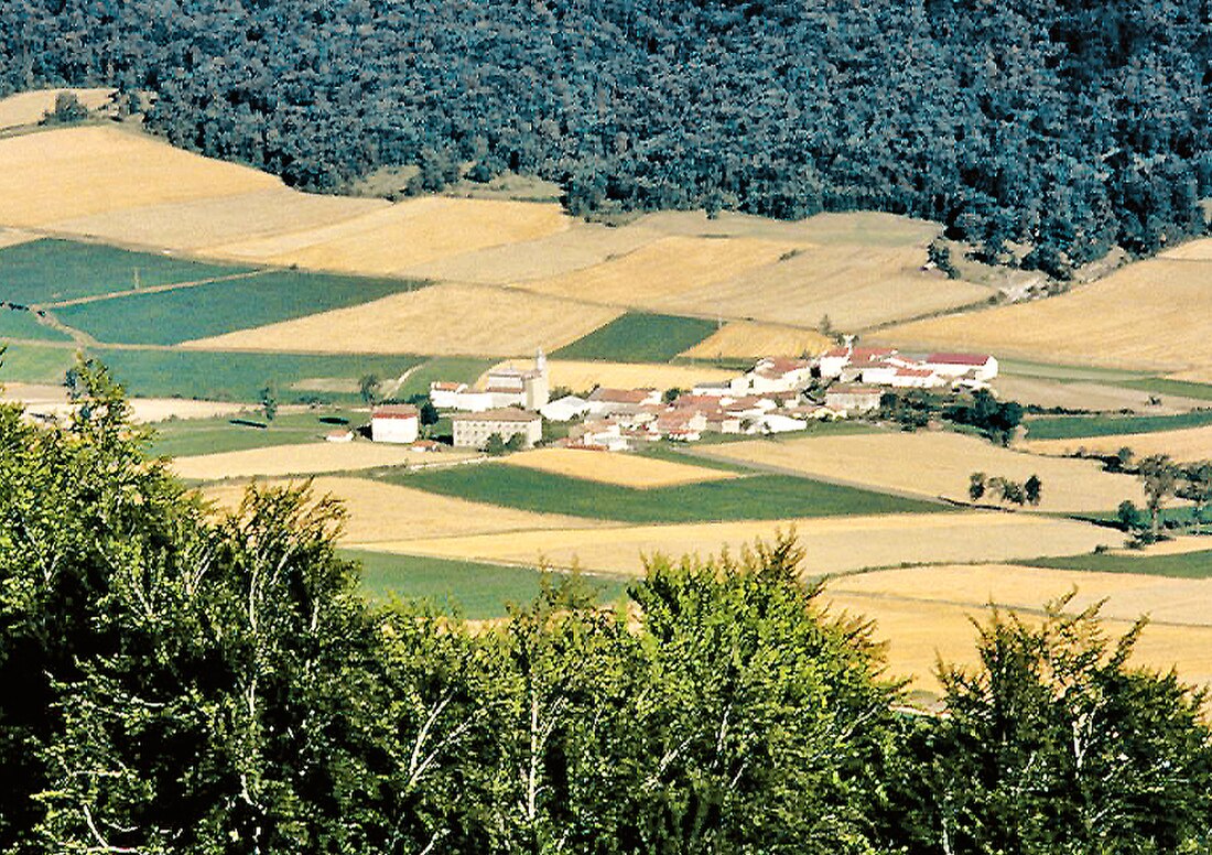 Harana/Valle de Arana