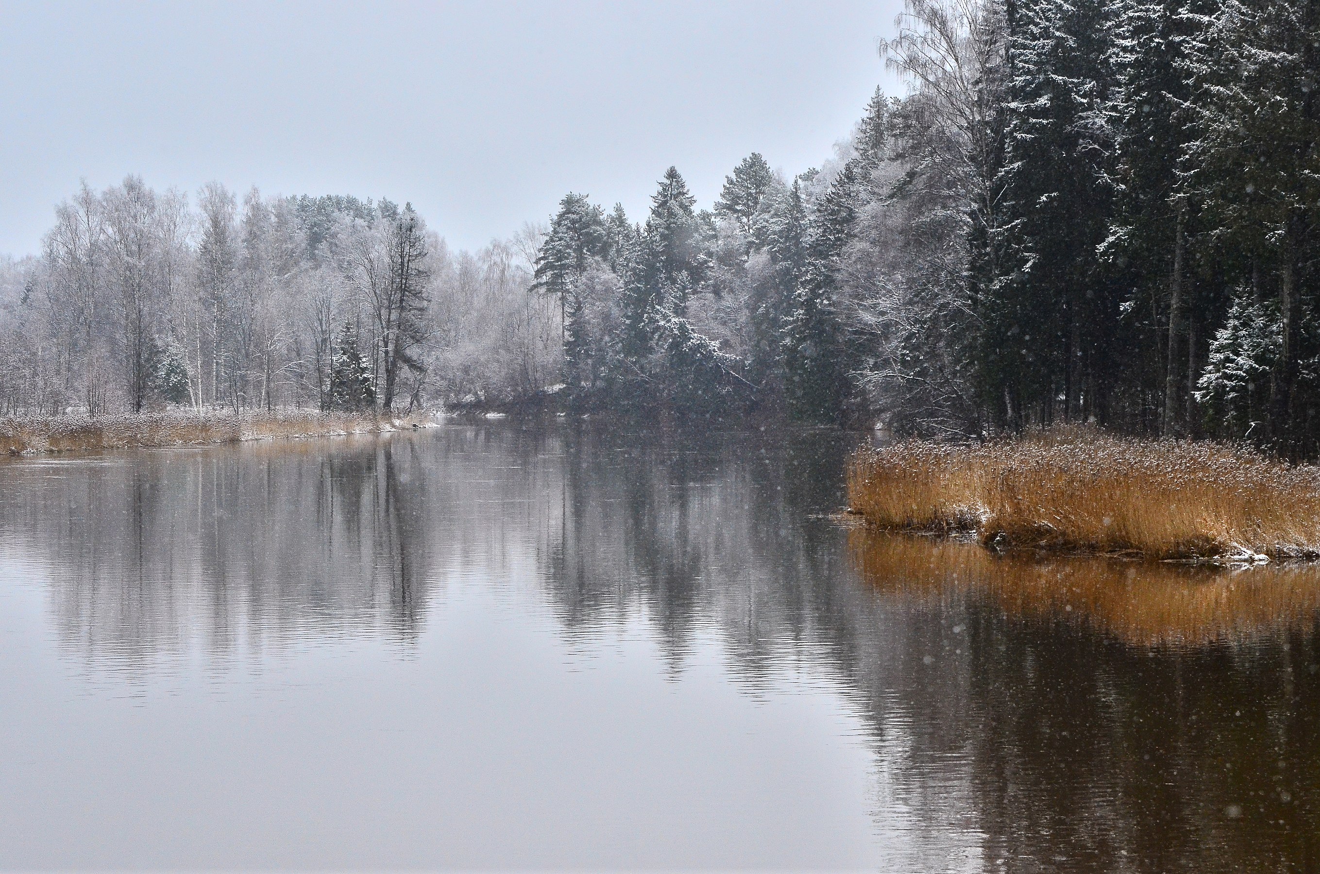 The bay of lake Nedzis Photograph: AivarsOsins